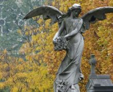mourning_angel_1680x1050.jpg